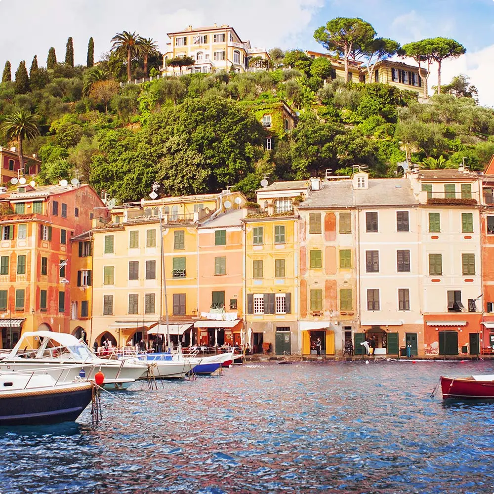 organizacja balu_kwadrat 1 (1)